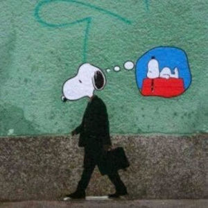 Meet your Posher, Chuck